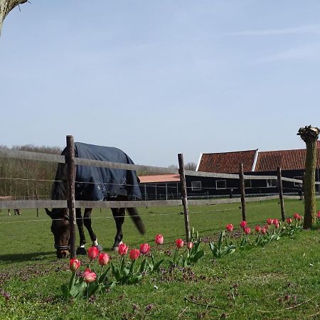 Bed and Breakfast De Tulp à Noordgouwe Extérieur photo