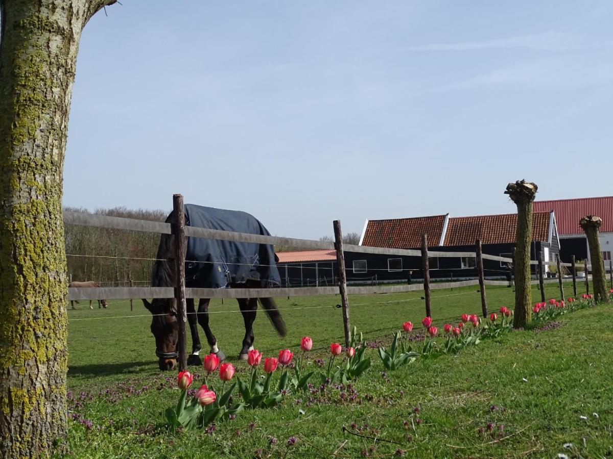 Bed and Breakfast De Tulp à Noordgouwe Extérieur photo