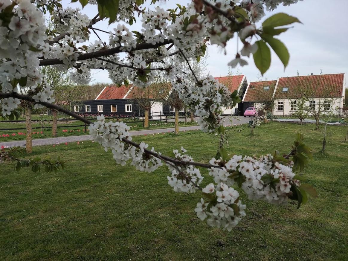Bed and Breakfast De Tulp à Noordgouwe Extérieur photo